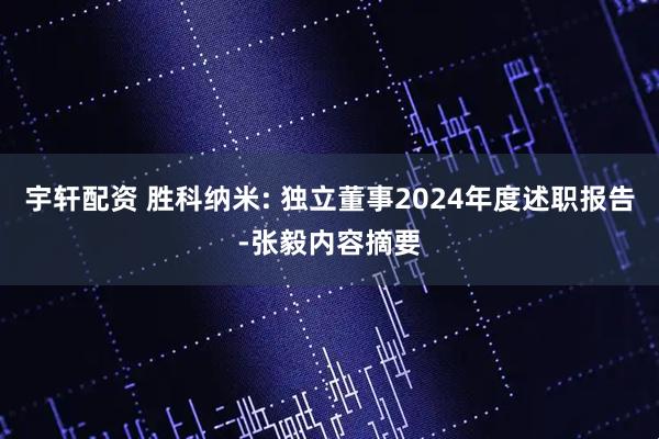 宇轩配资 胜科纳米: 独立董事2024年度述职报告-张毅内容摘要