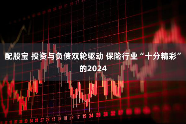 配股宝 投资与负债双轮驱动 保险行业“十分精彩”的2024