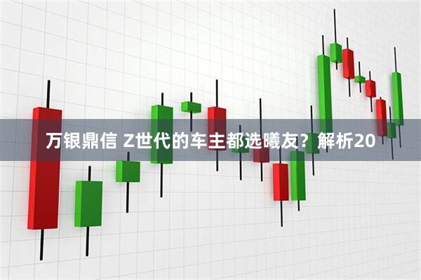 万银鼎信 Z世代的车主都选曦友？解析20