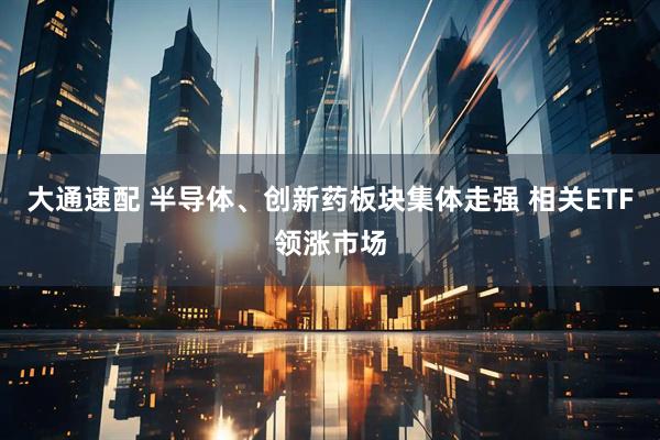 大通速配 半导体、创新药板块集体走强 相关ETF领涨市场